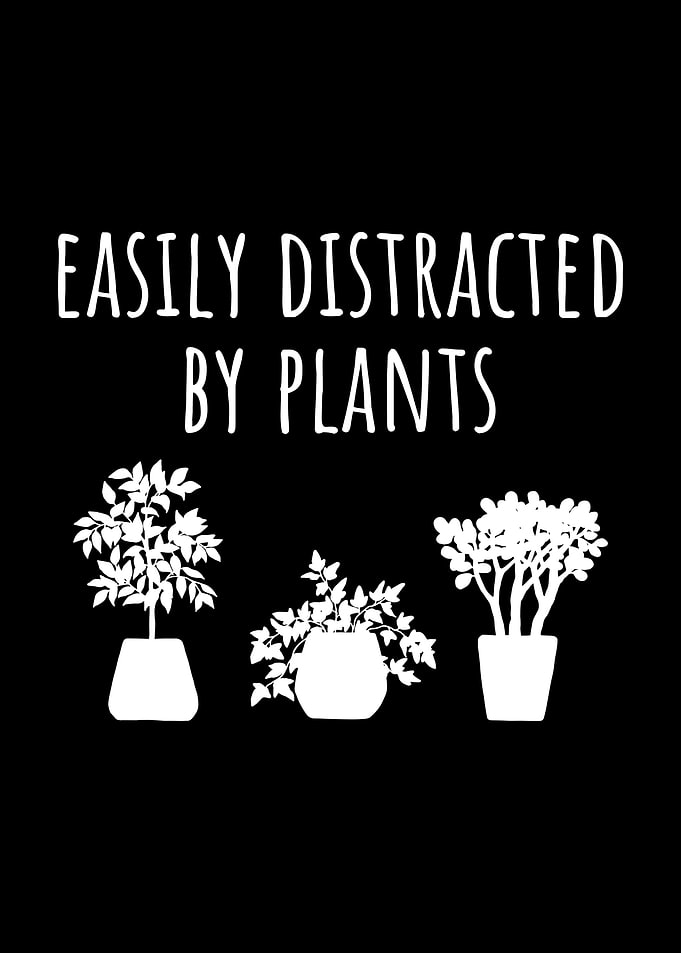 Easily Distracted by