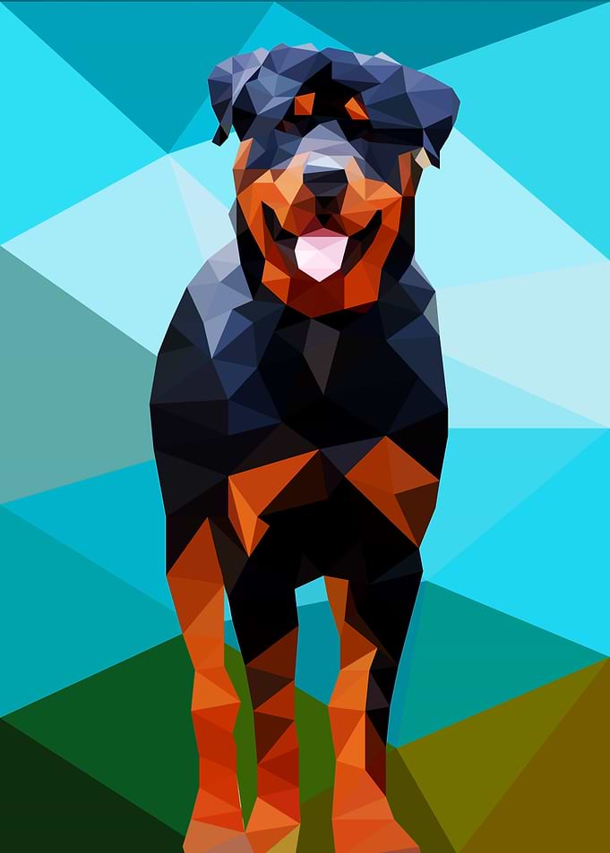 Rottweiler
