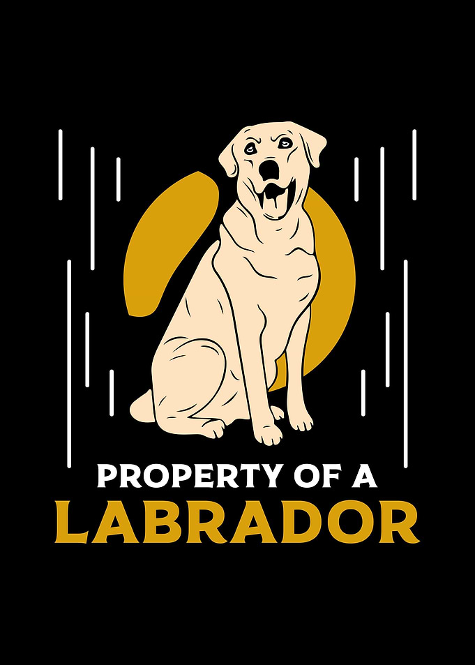 Labrador