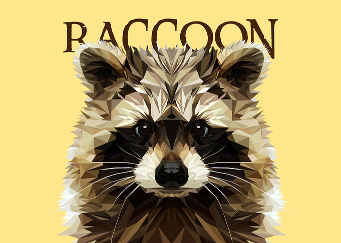 Raccon
