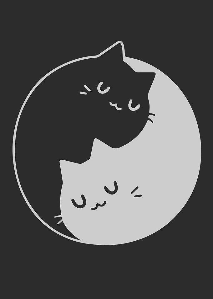 Yin Yang Cats 2