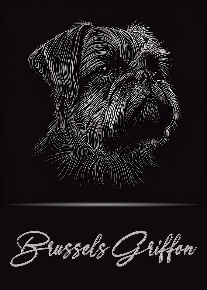 Brussels Griffon