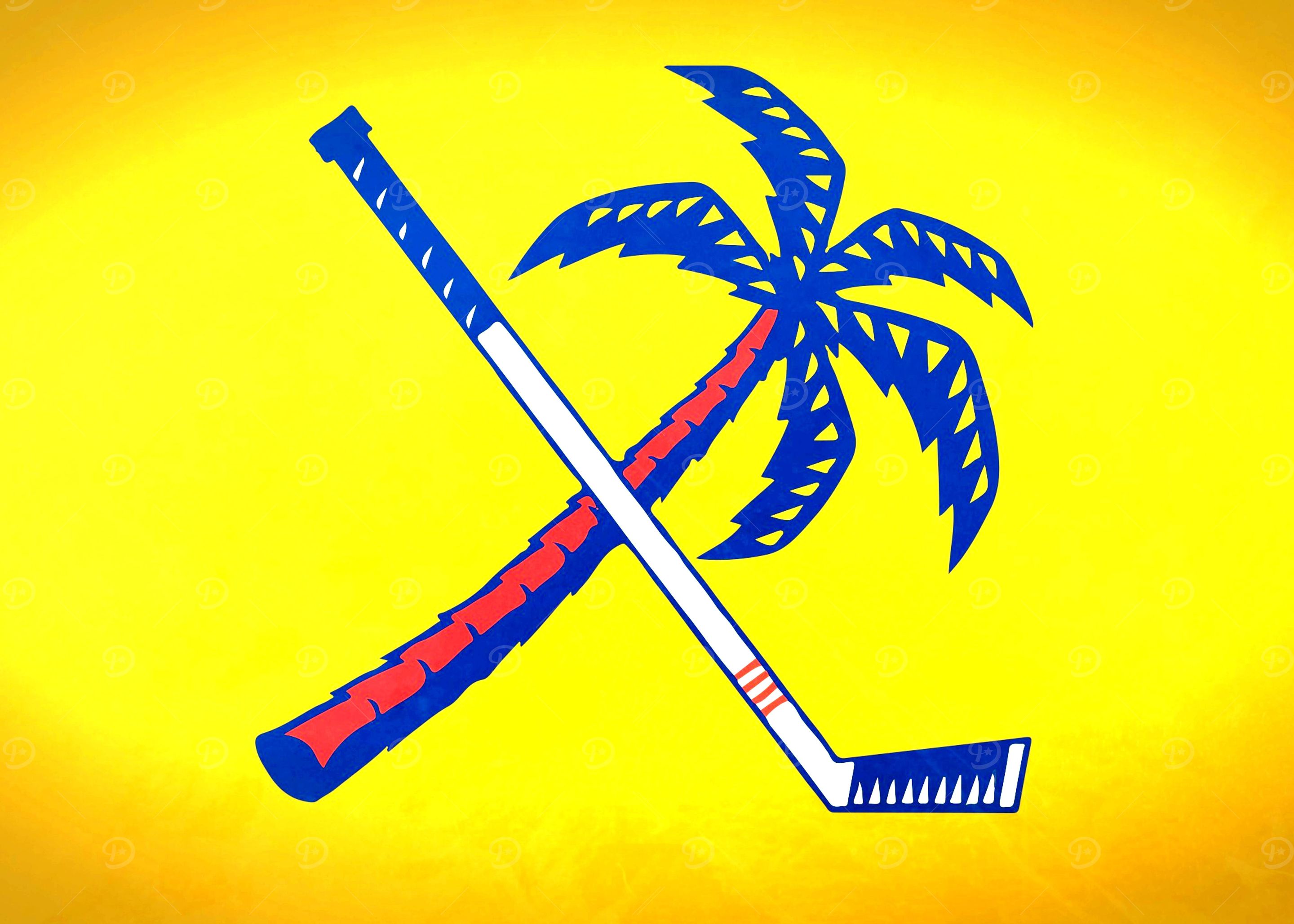 Hockey