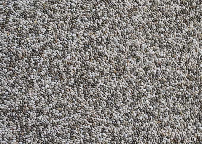 chia seed
