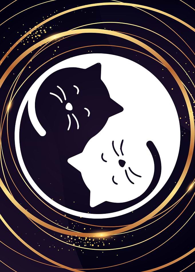 Yin Yang Cats
