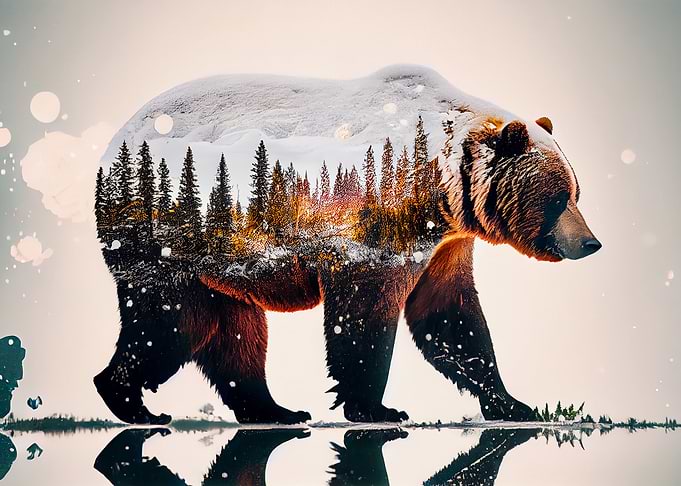 Bear Double Exposure