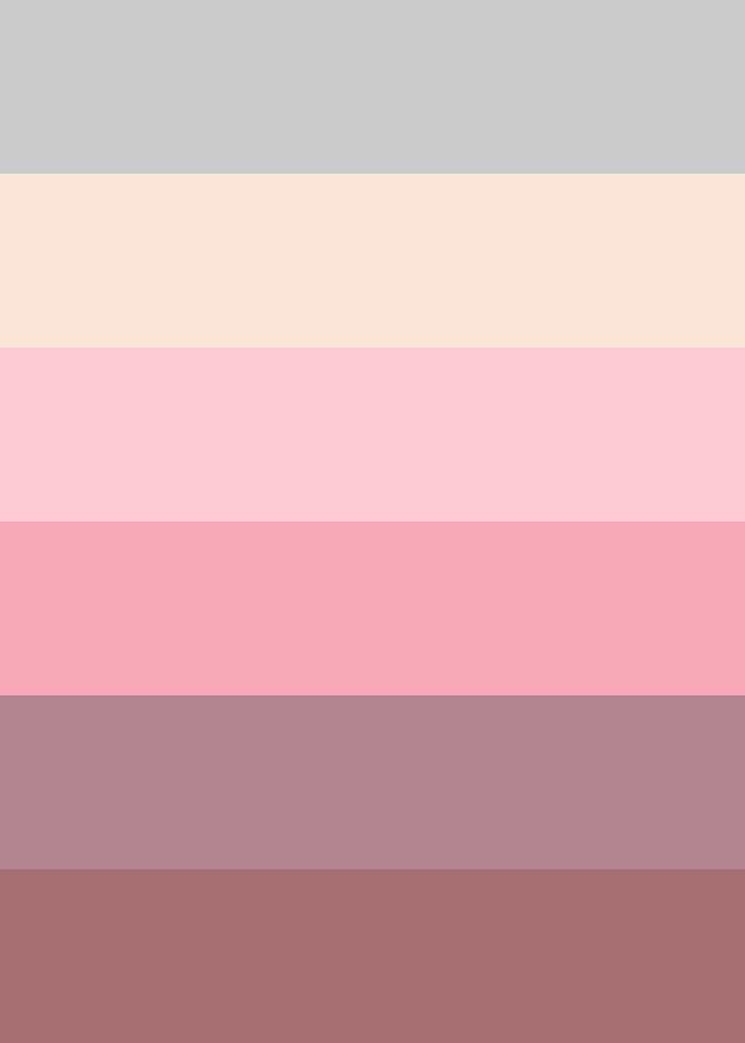 Color Palette
