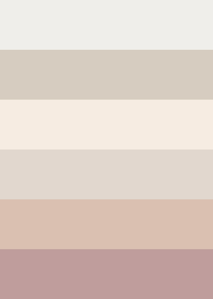 Color Palette