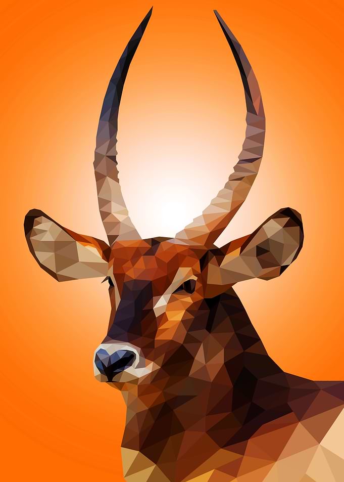 Antelope