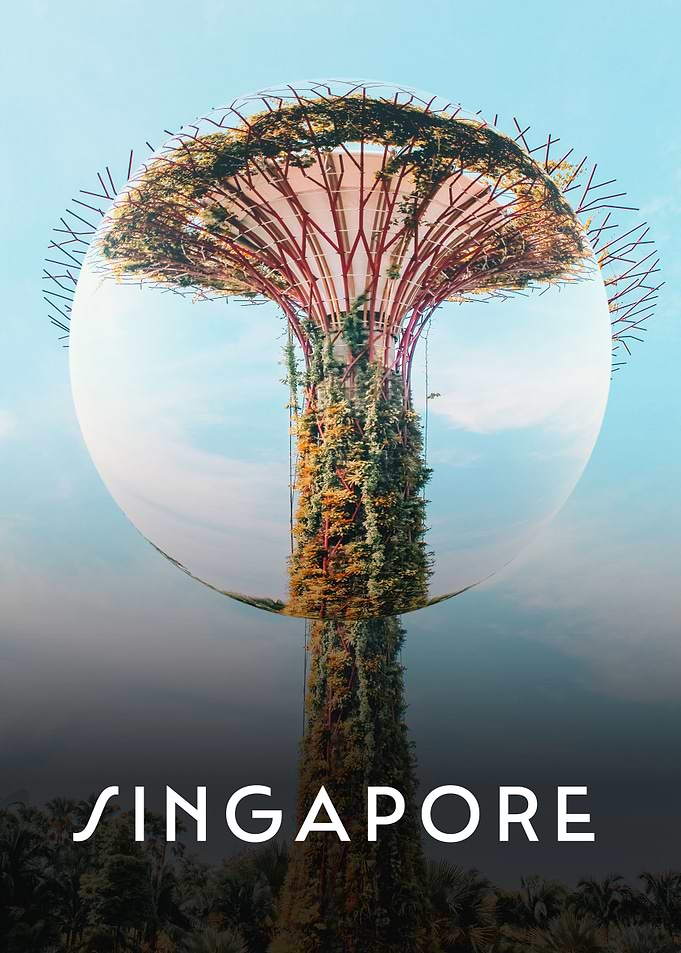 Singapore Abstract Bubble