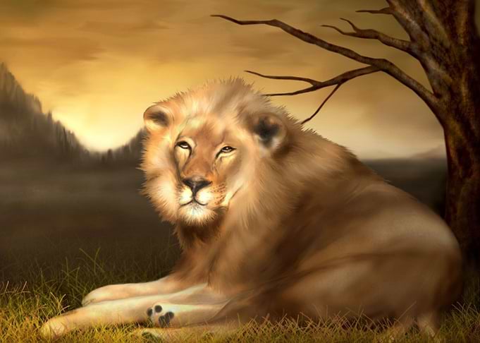 lion