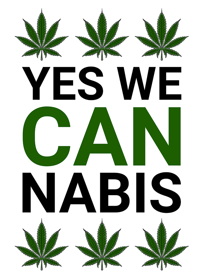 YES WE CANNABIS WHITE
