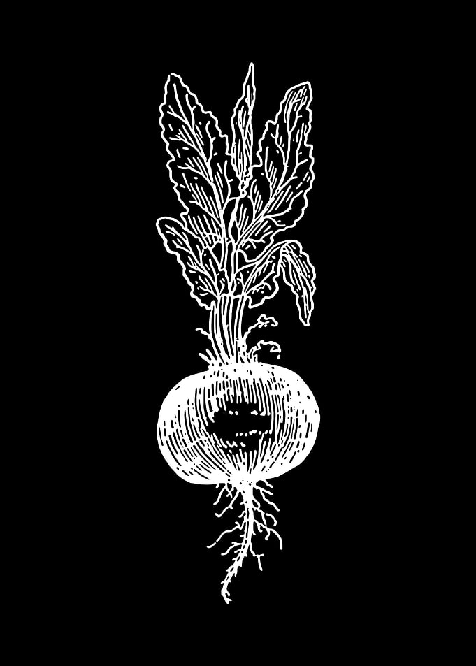 beet