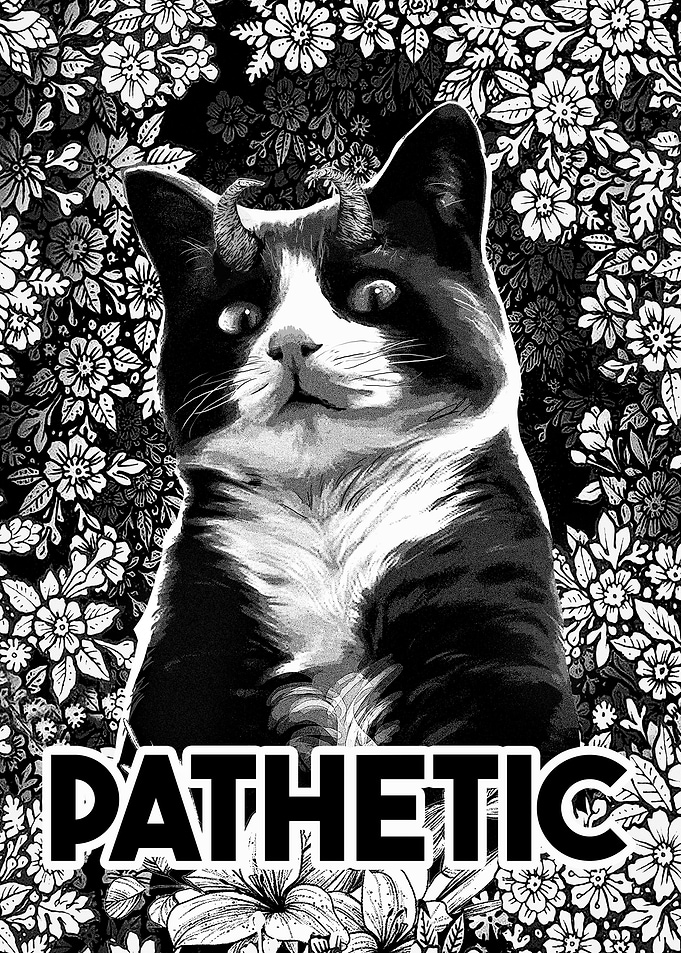 Pathetic Funny Manga Cat