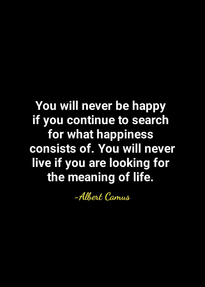 Albert Camus quotes