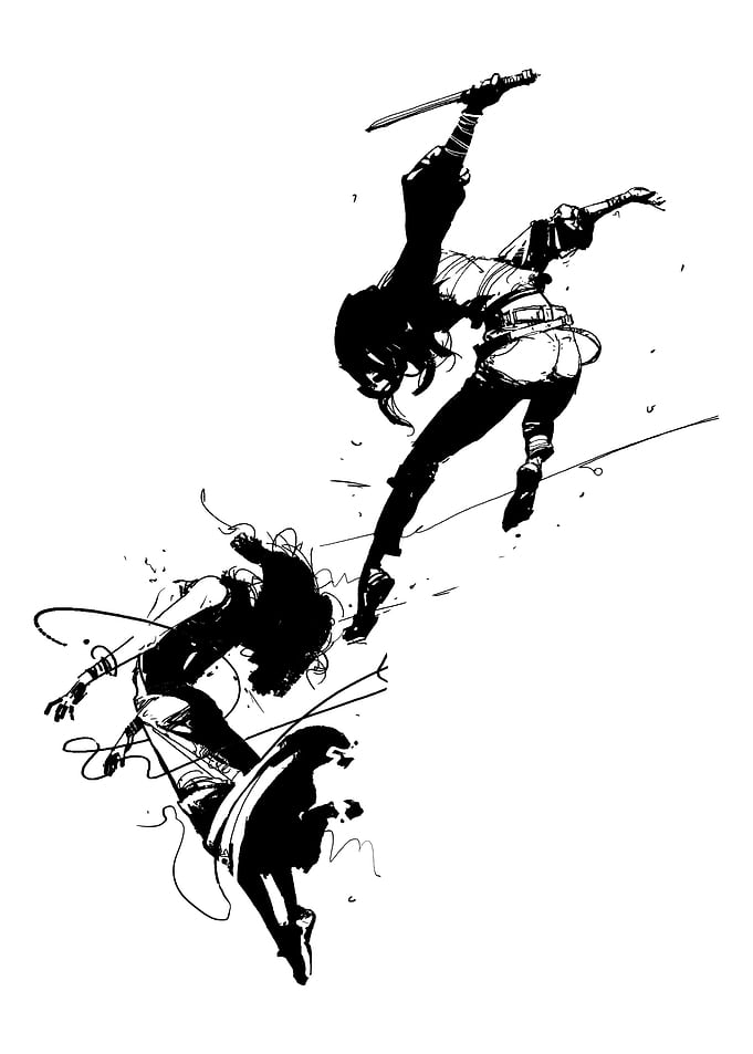 Slashed on the Fight