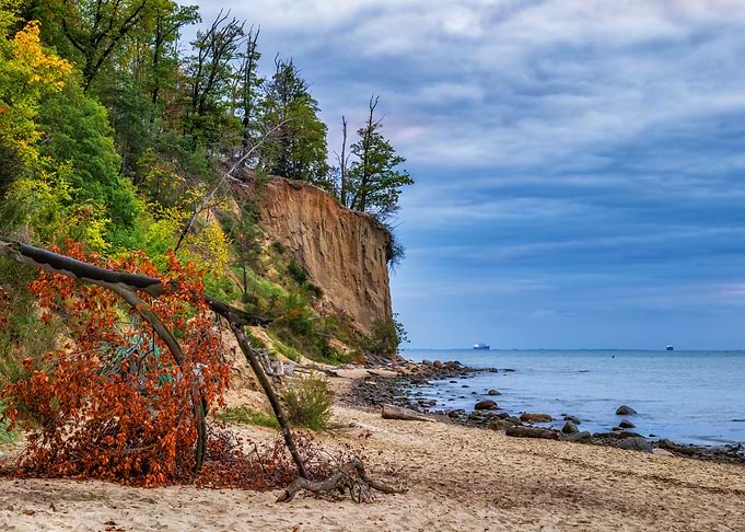 Baltic Sea Cliff In Gdynia