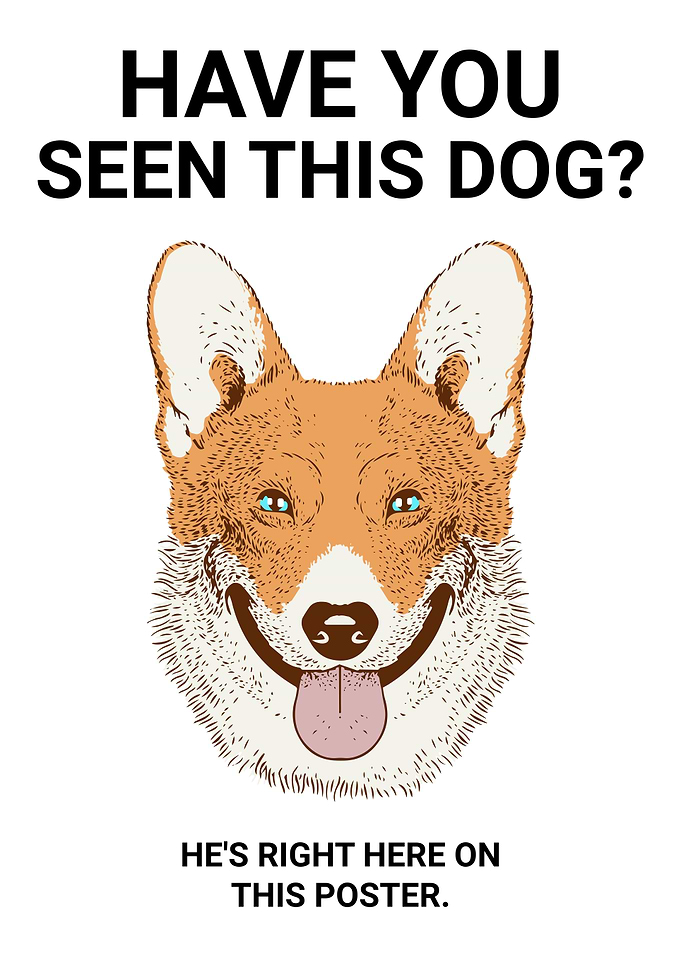 HAVE YOU SEEN THIS DOG