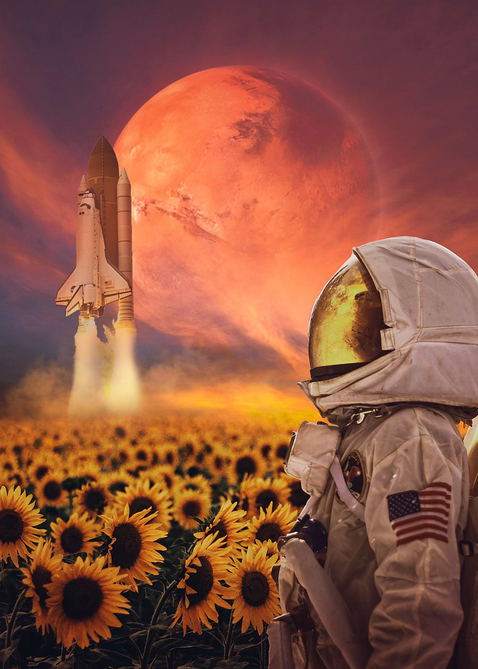 Astronaut Sunflower