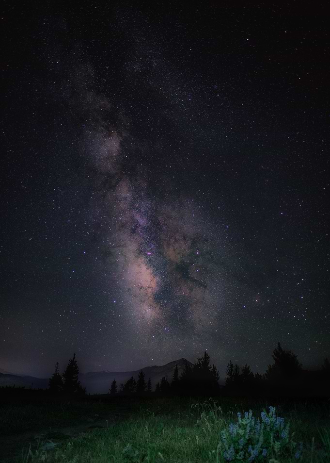 Starry Sky