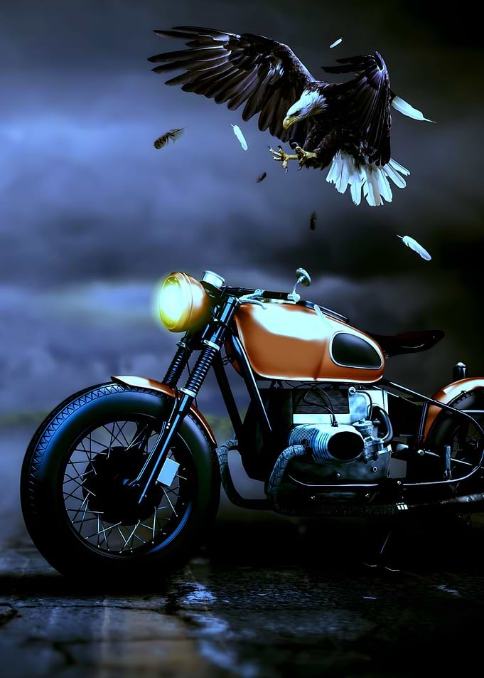 Harley Davidson