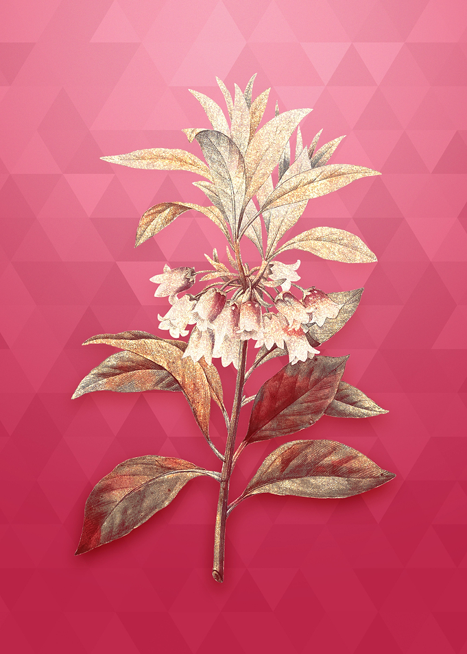 Chinese New Year Flower