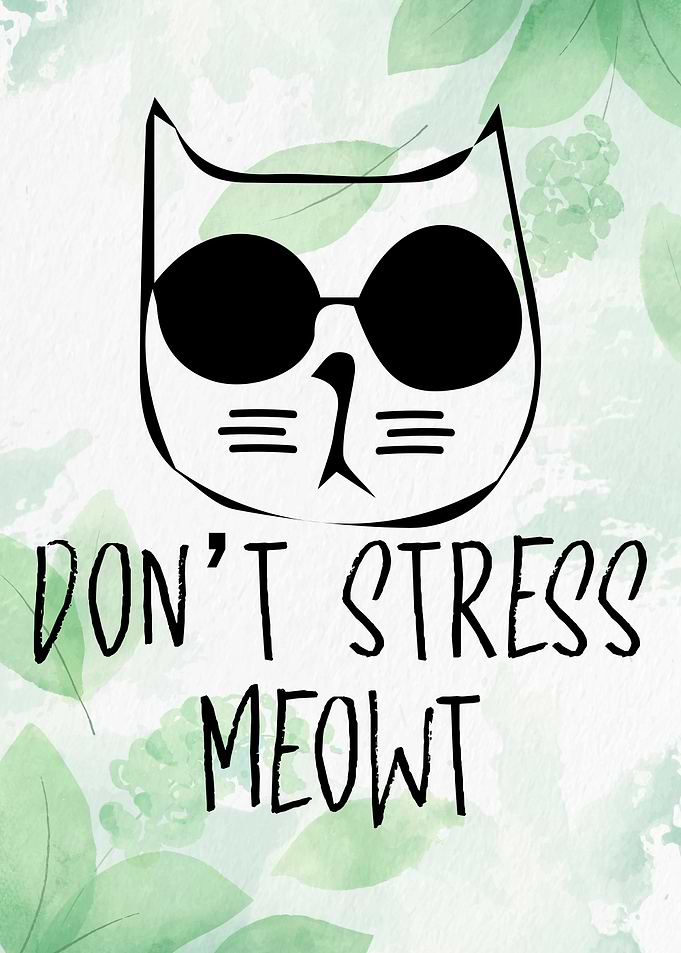 Dont Stress Meow