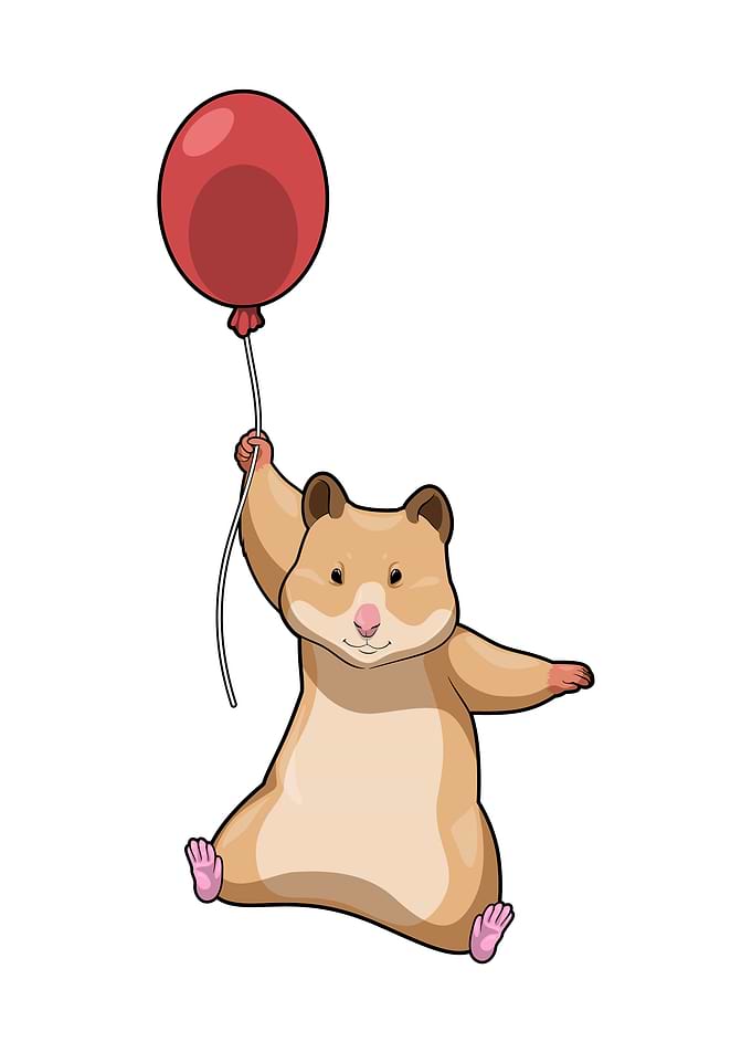 Hamster Balloon