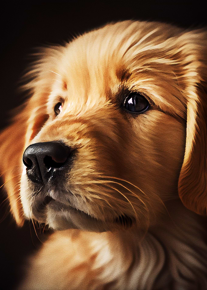 Portrait the Dog