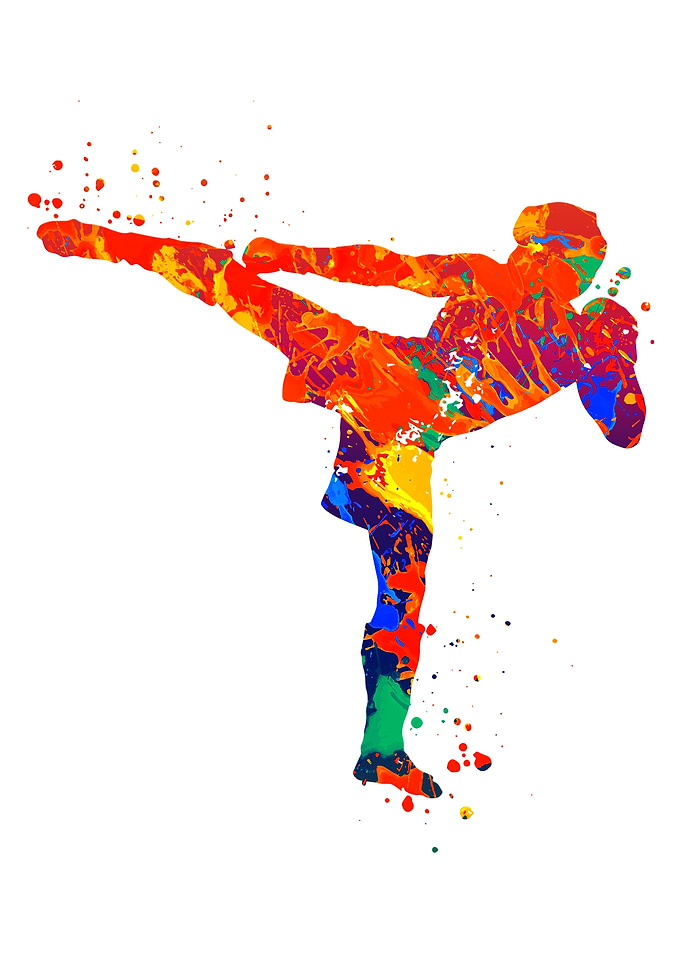 MMA Mixed Martial