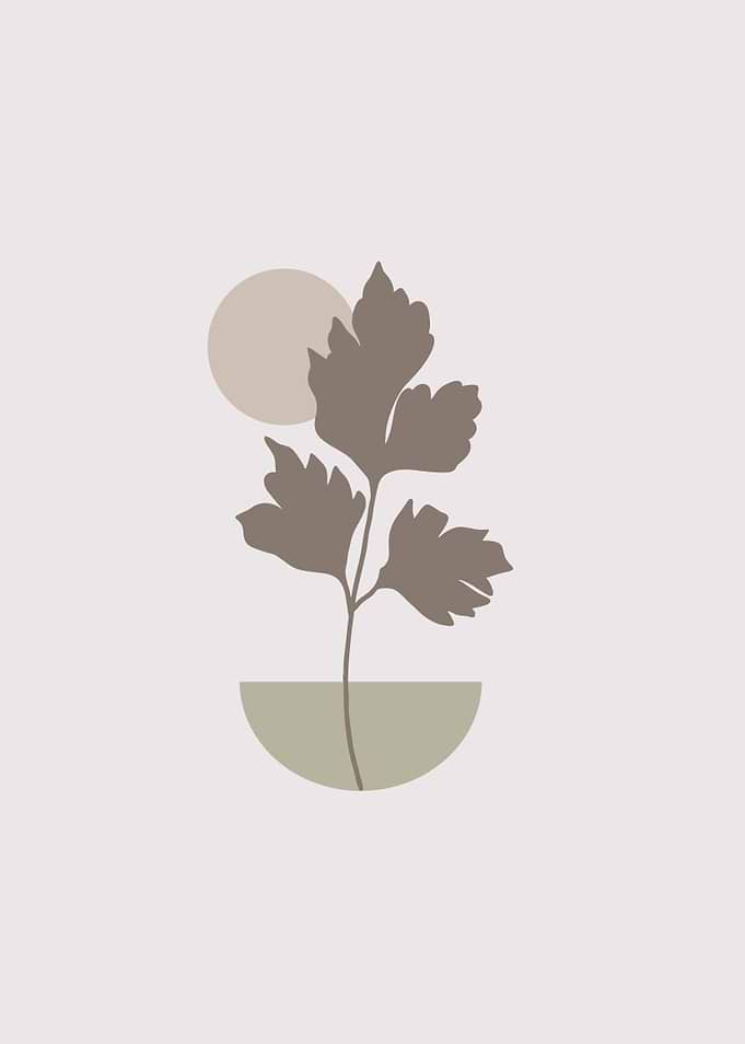 parsley leaf