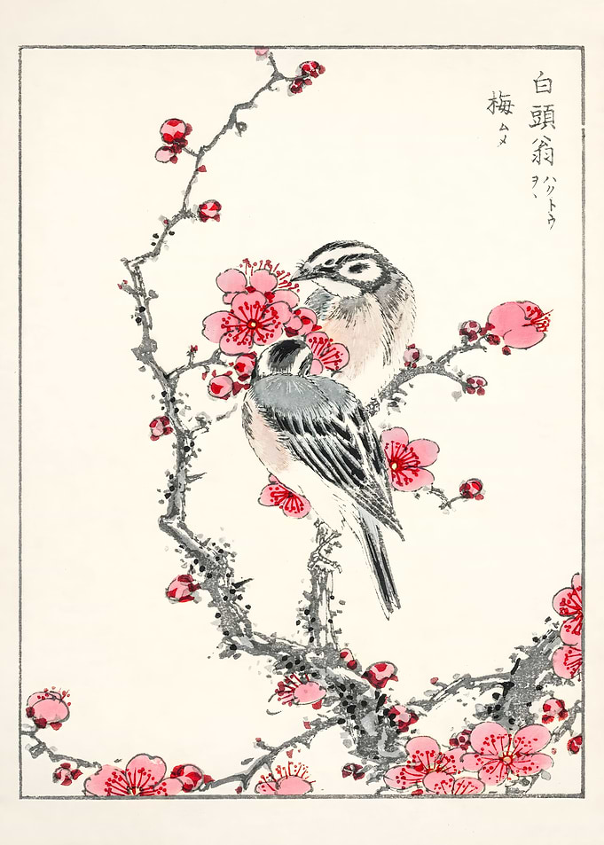 Ukiyo e Cherry Blossom
