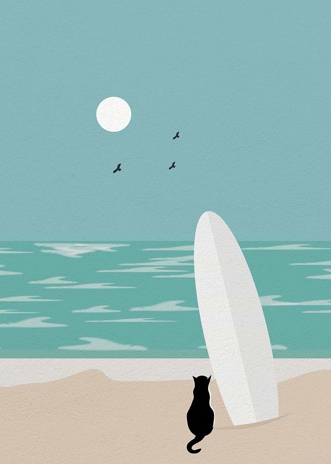 Cat and surfboard