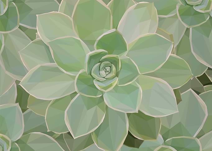 Low Poly Vintage Succulent