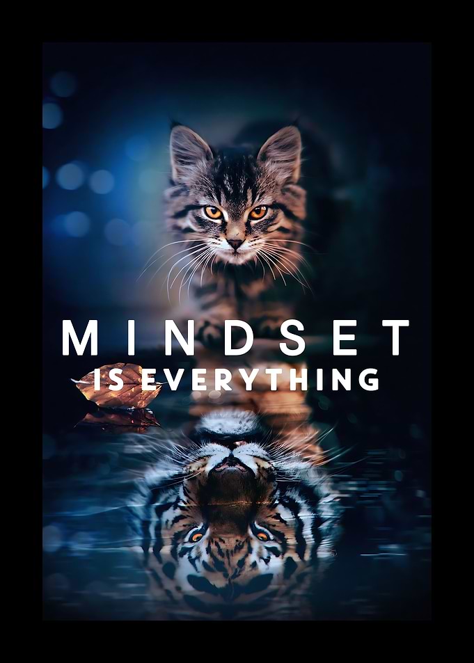 MINDSET
