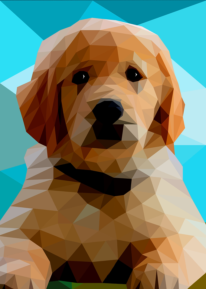 Labrador