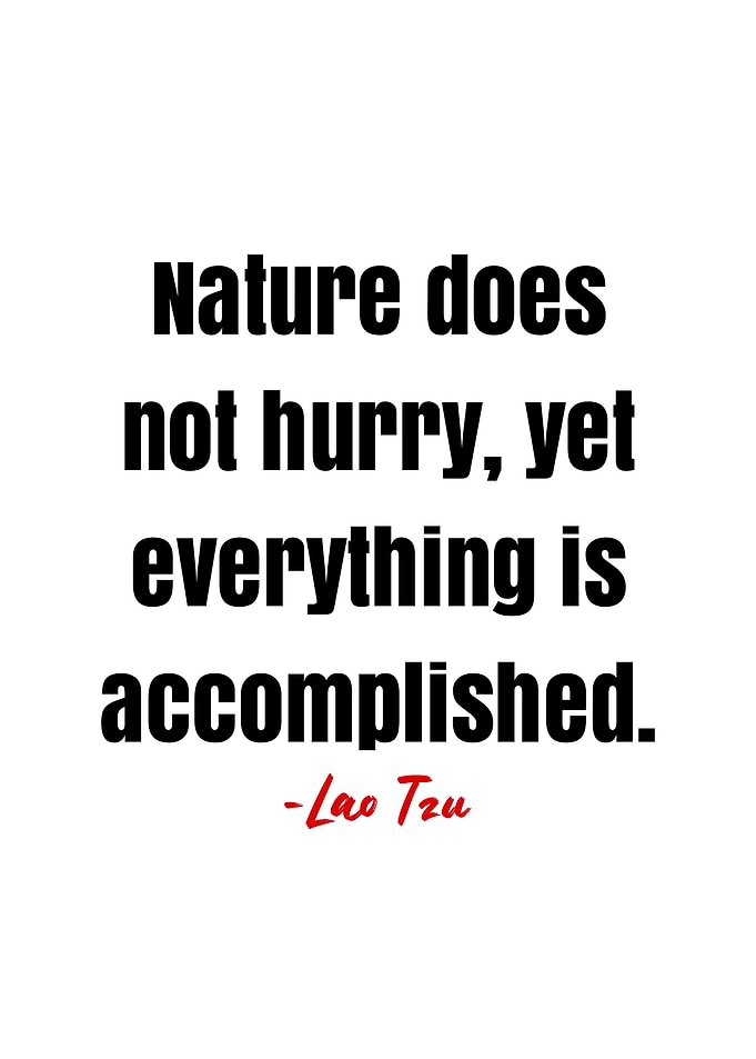 Lao Tzu Quote