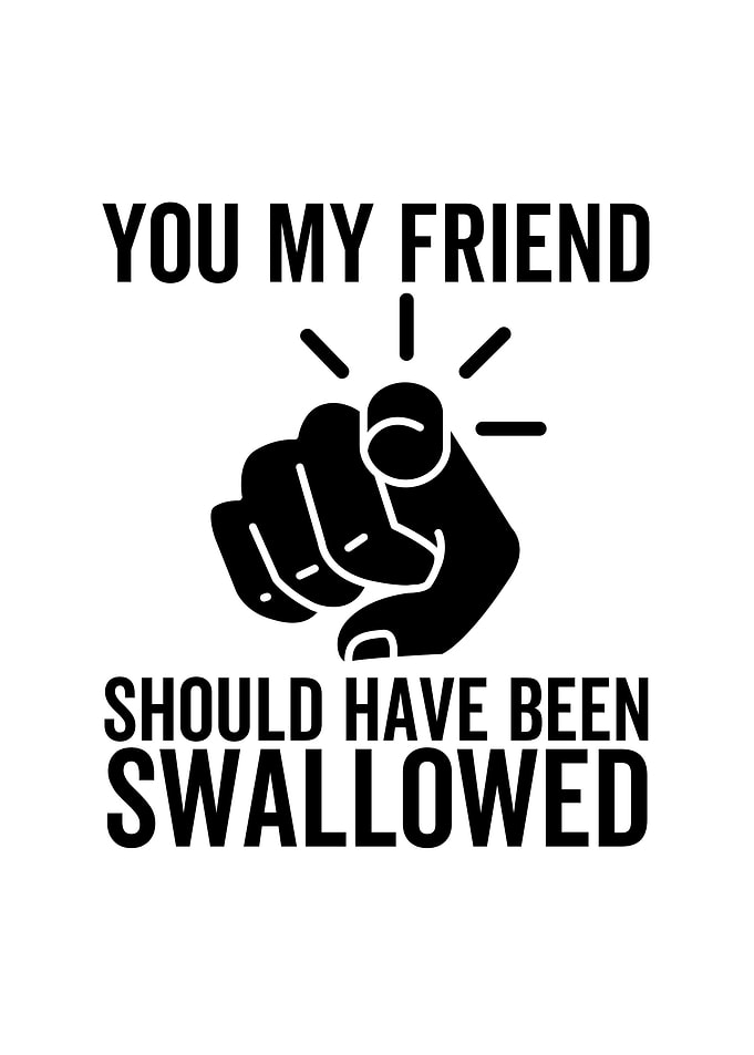 You My Friend Should Have