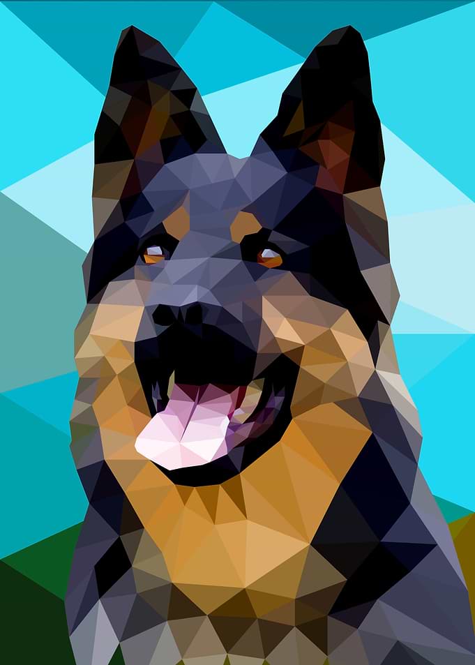 Shepherd