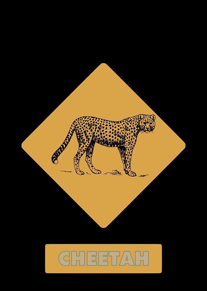 Cheetah