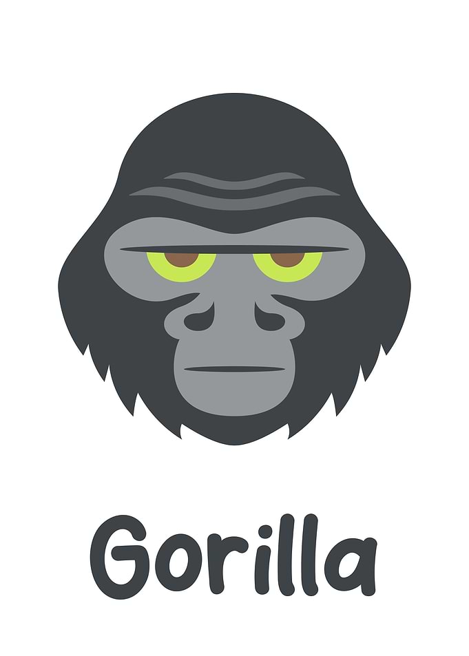 Gorilla