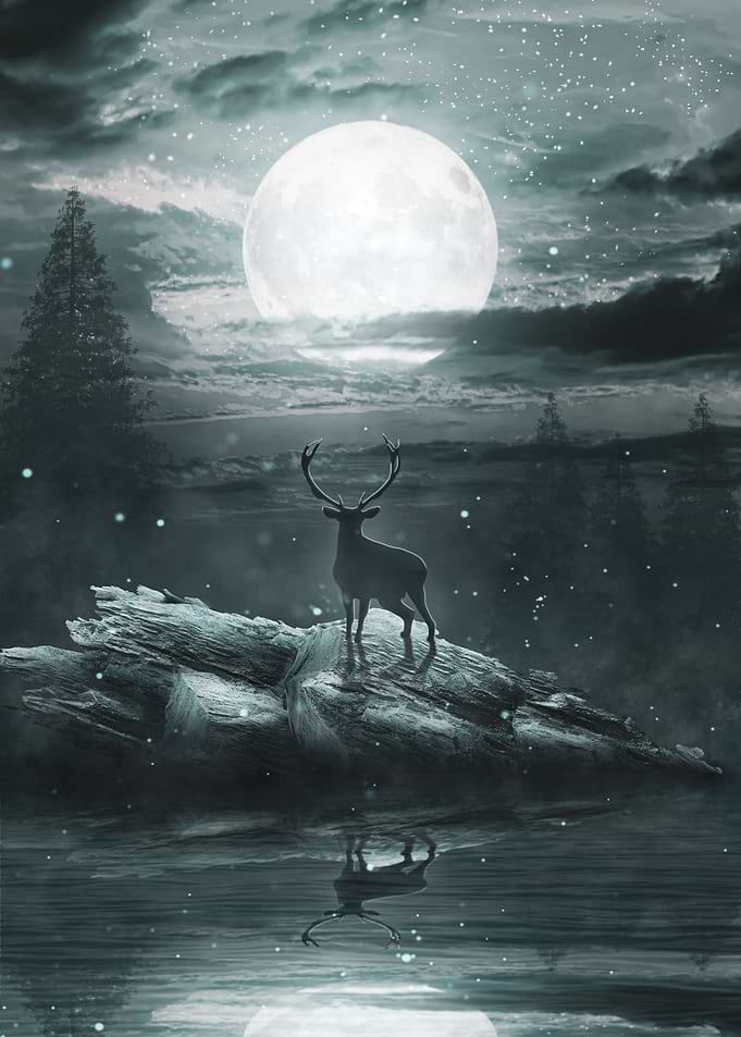 Moonshine on the Lake