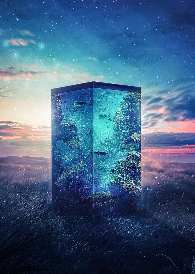 Miniworld aquarium