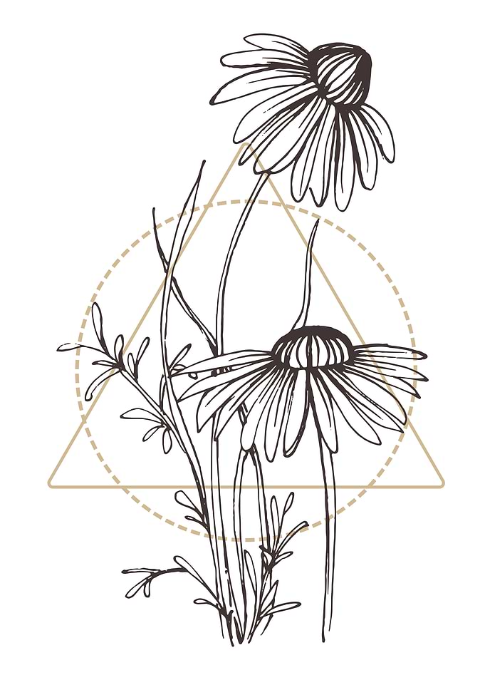 Chamomile and Daisy wheel