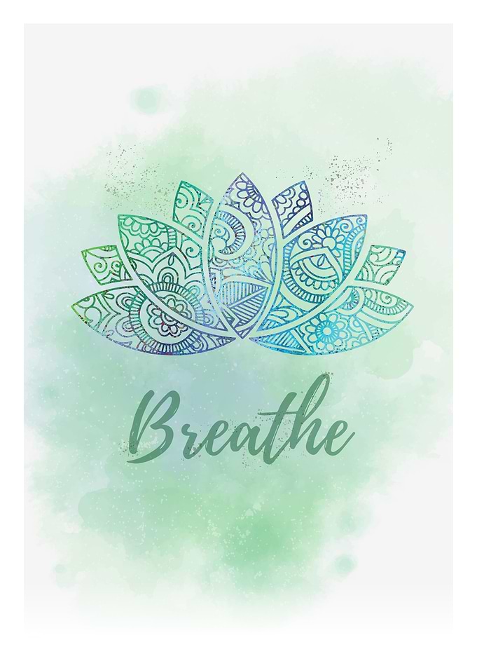 lotus flowe yoga meditate