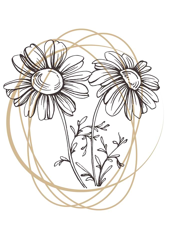 Chamomile and Daisy wheel