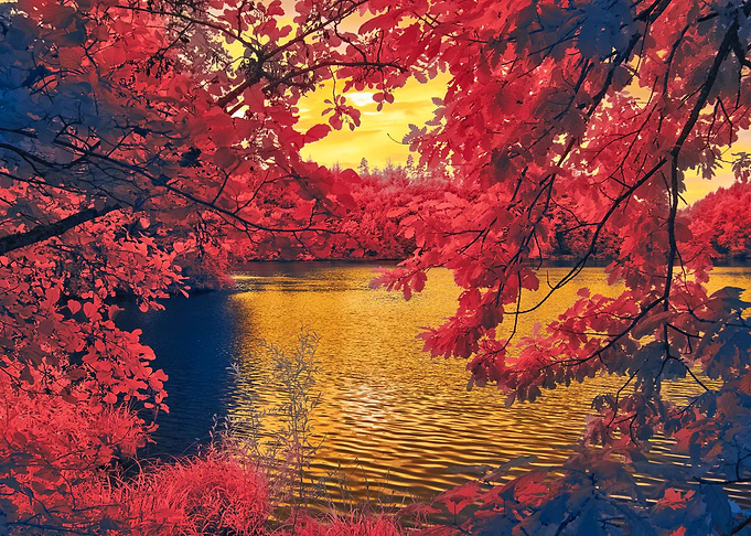 Autumn change