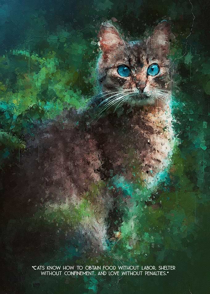 View of Cat Life
