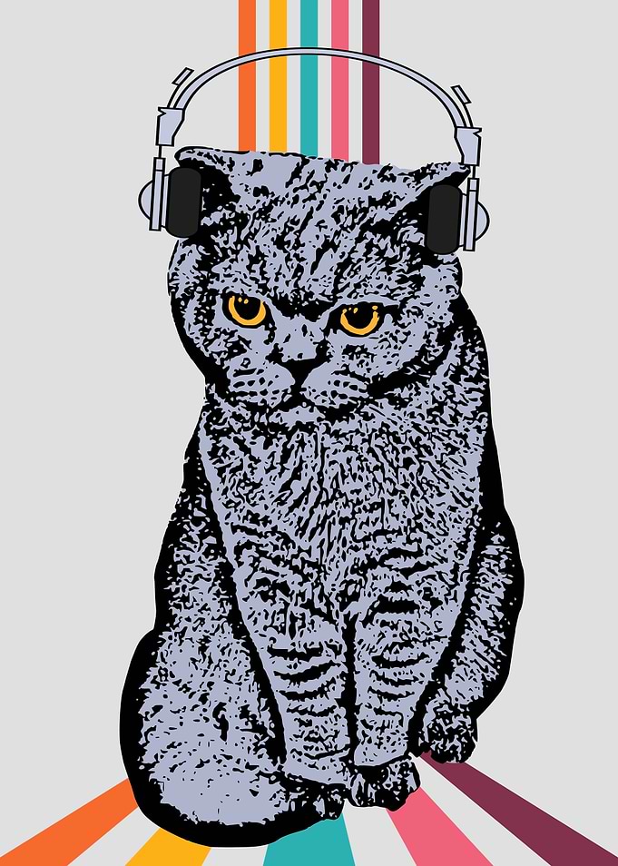 BANKSY CAT DJ HEADPHONES