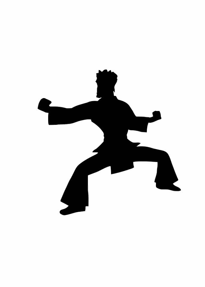 Silhouette kung fu fighter